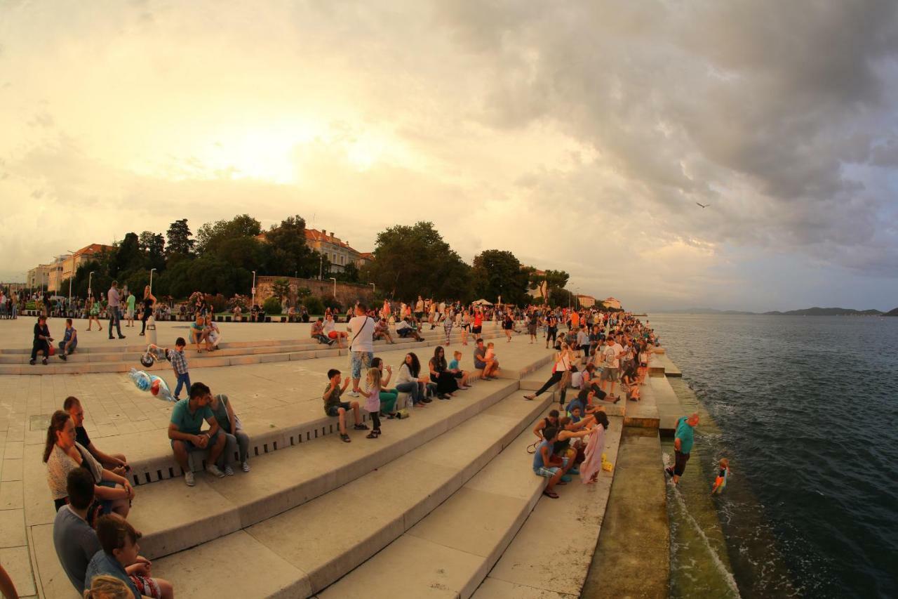 Studio Apartman Summer Flower Zadar Bilik gambar